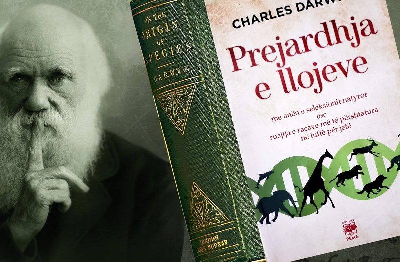 Sot në “Ditën e Evolucionit”, në kremten e çlirimit nga errësira, në ditën e Darvinit dhe darvinizmit