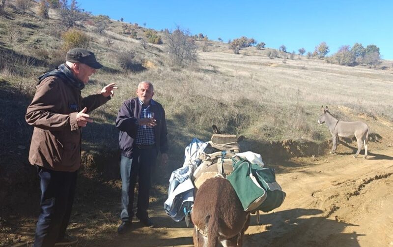 Ypi-Qytetari-Gomaret