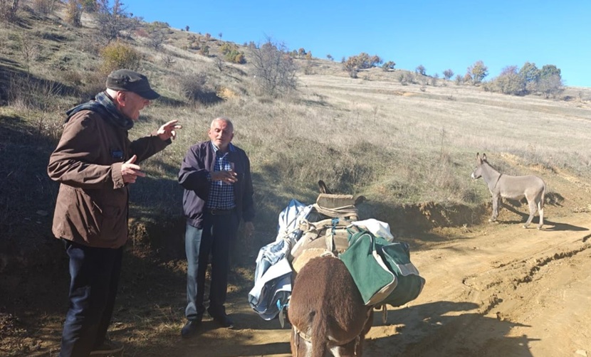 Ypi-Qytetari-Gomaret