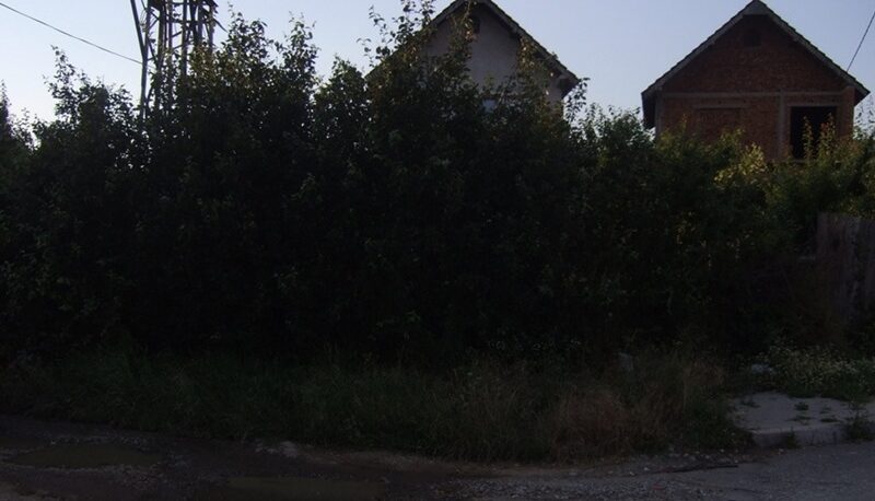 Ftonjte-Tahirit-Galice