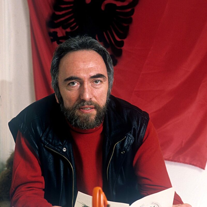 Aktiviteti i Komitetit për Mbrojtjen e të Drejtave të Njeriut, Roli i Enver Hadrit dhe Rezolutat e Parlamentit Evropian për Kosovën (1989–1990)