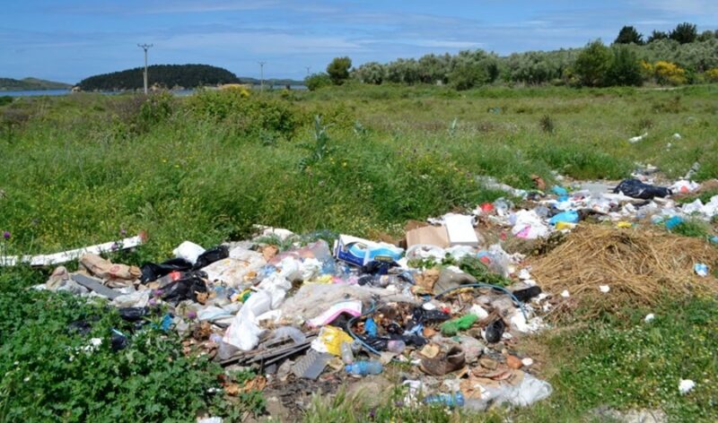 Zvernec-2019