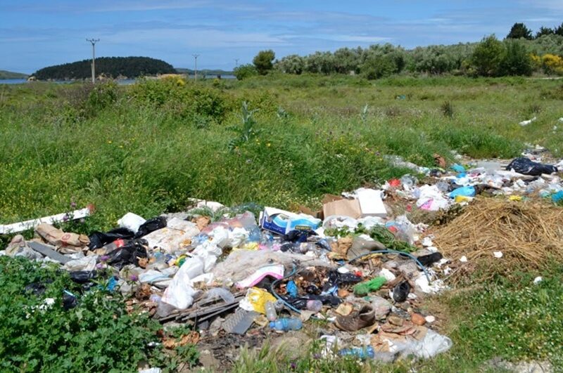 Zvernec-2019