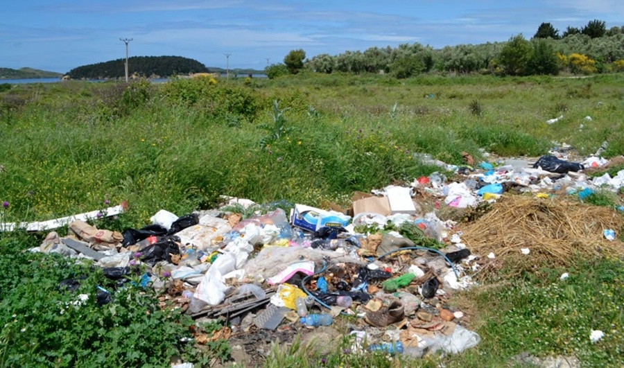 Zvernec-2019
